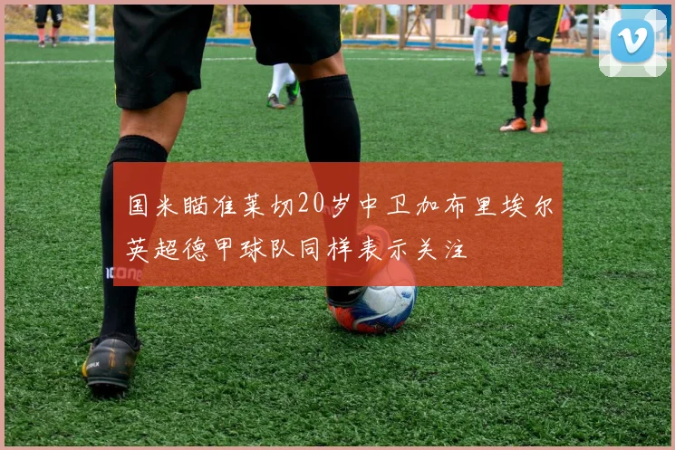 国米瞄准莱切20岁中卫加布里埃尔英超德甲球队同样表示关注