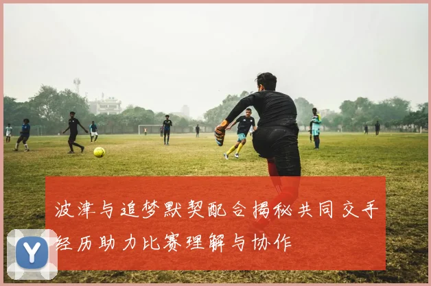 波津与追梦默契配合揭秘共同交手经历助力比赛理解与协作